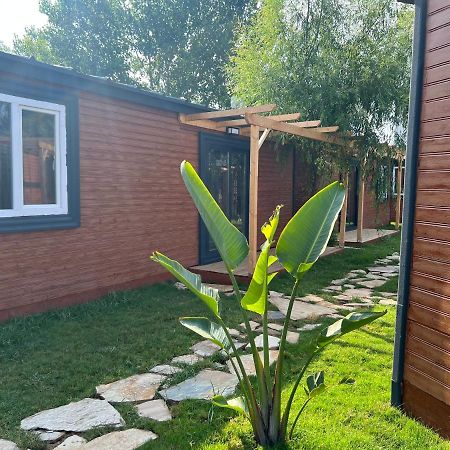 Hotel Seaside Bungalow Town Antalya Zewnętrze zdjęcie